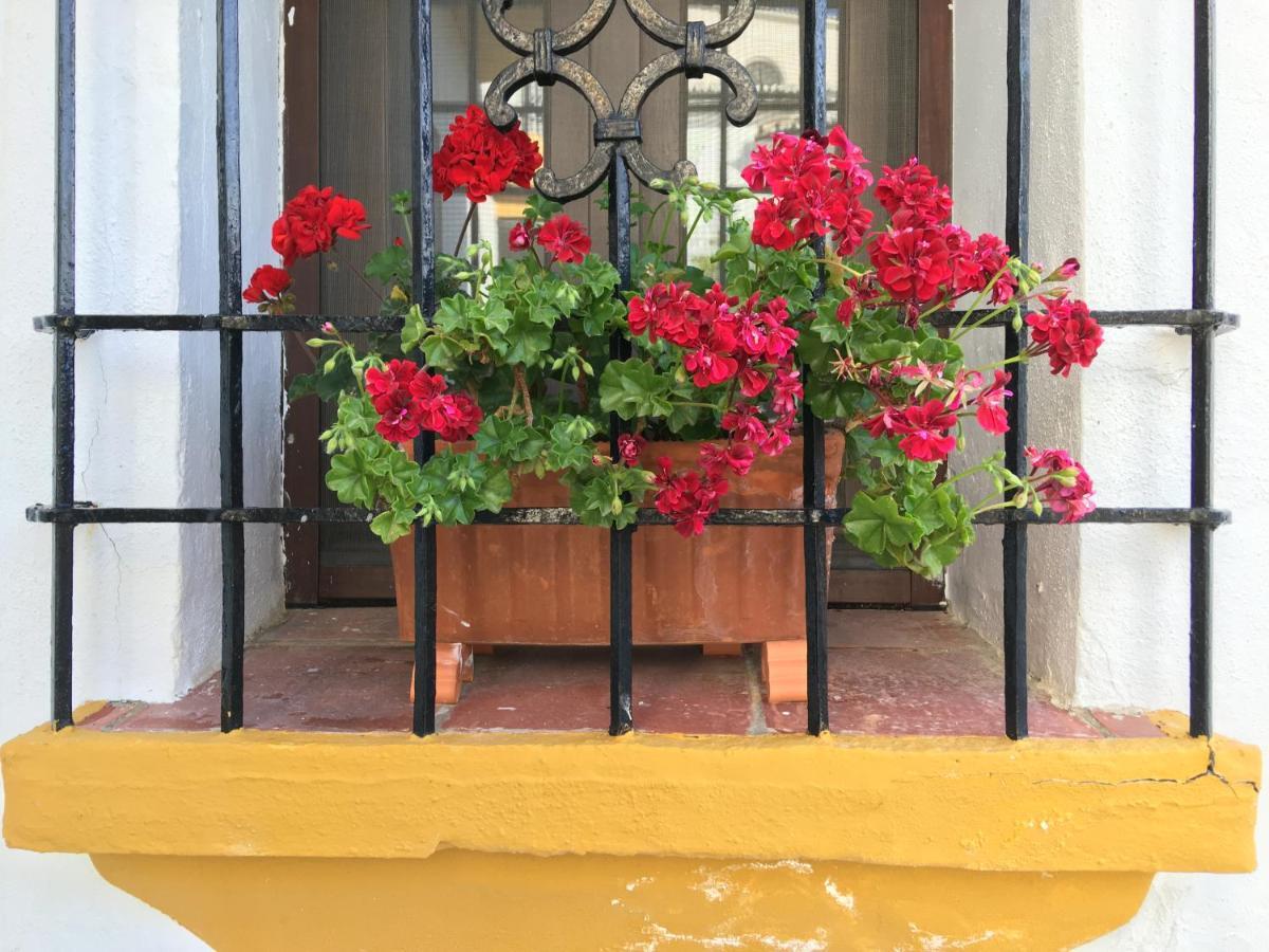 La Escondida Ronda, B&B Bagian luar foto