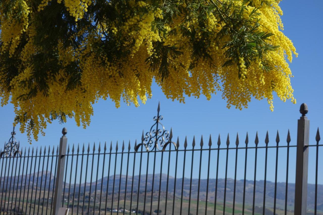 La Escondida Ronda, B&B Bagian luar foto